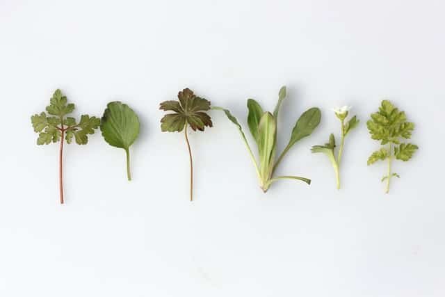 vertical farming