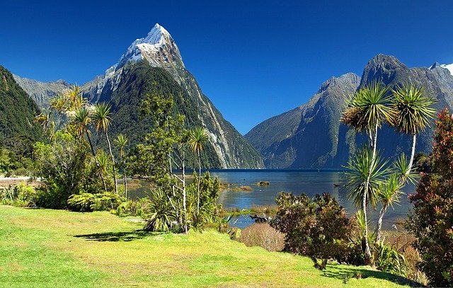 new zealand